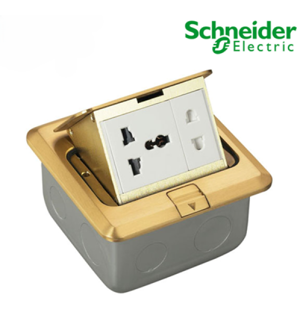 Ổ CẮM ÂM SÀN CÓ ĐẾ ÂM MÀU NHŨ VÀNG E224F_BAS SCHNEIDER
