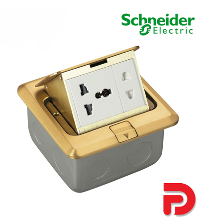 Ổ CẮM ÂM SÀN CÓ ĐẾ ÂM MÀU NHŨ VÀNG E224F_BAS SCHNEIDER